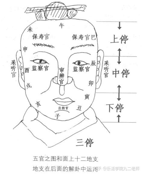 三才|三才